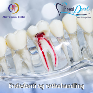 midlertidig protese pris