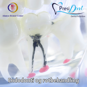 tandlæge alanya priser